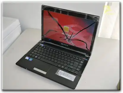 Замена матрицы Packard Bell в Иркутске
